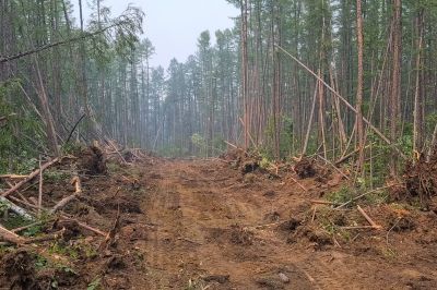 Construction Site Land Clearing