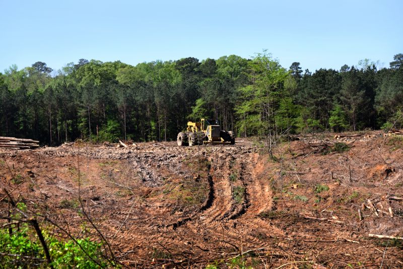 Construction Site Land Clearing in Gwinnett County, GA