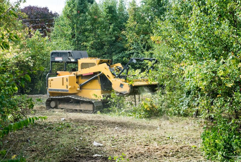 Farm Clearing in Utah County, UT