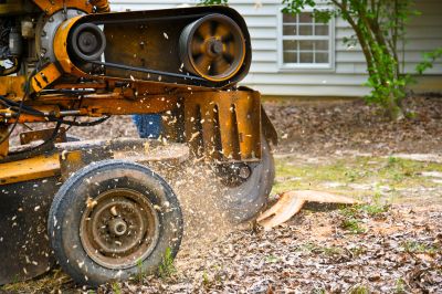 Stump Grinding Operations