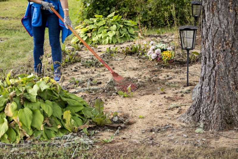 Land Preparation Service in Marietta, GA