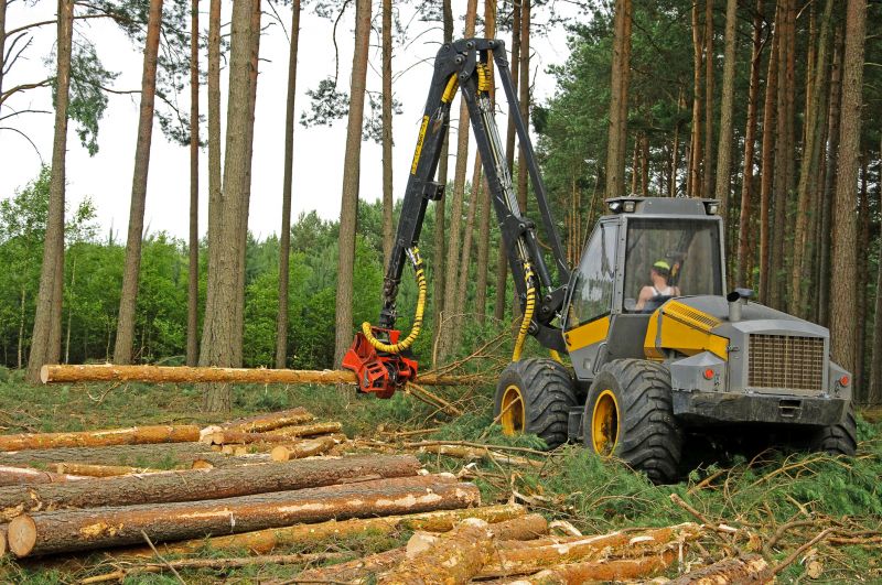 Pine Tree Clearing in Atlanta, GA