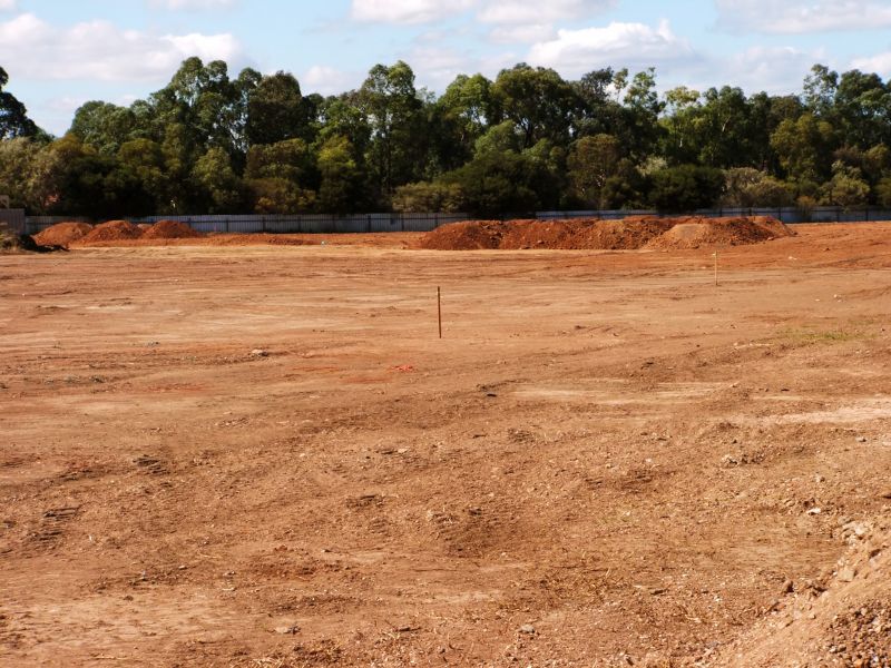 Site Preparation in Progress